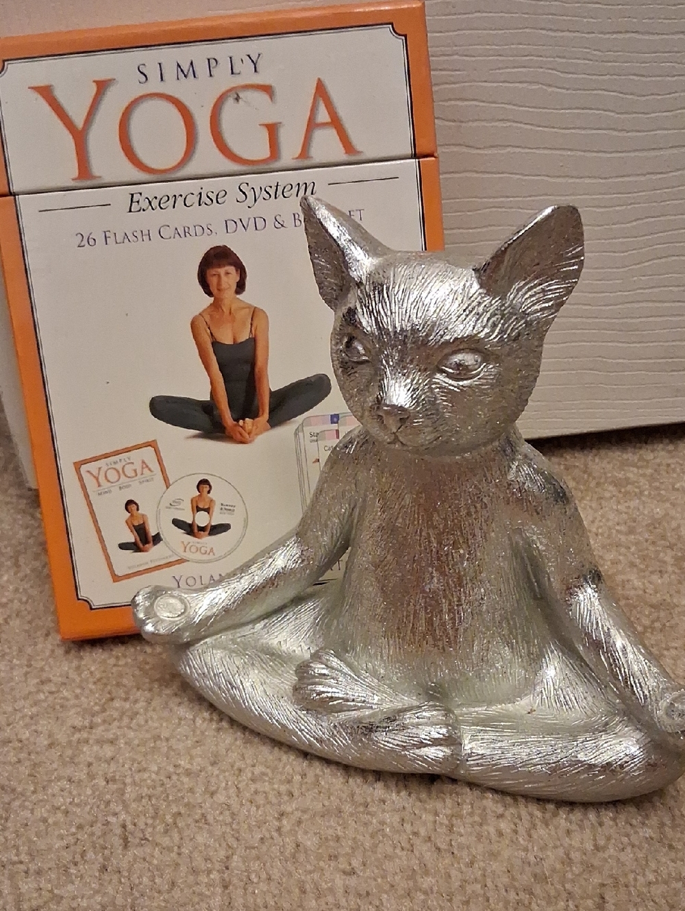 Cat Yoga With Yoga Instructional Cards